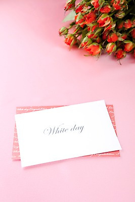 포토 JPG 스튜디오촬영 기념일 꽃 꽃다발 화이트데이 실내 선물 이벤트 사람없음 장미 국내포토 카드프레임 식물 데이이벤트 프레임 내부 파일형식