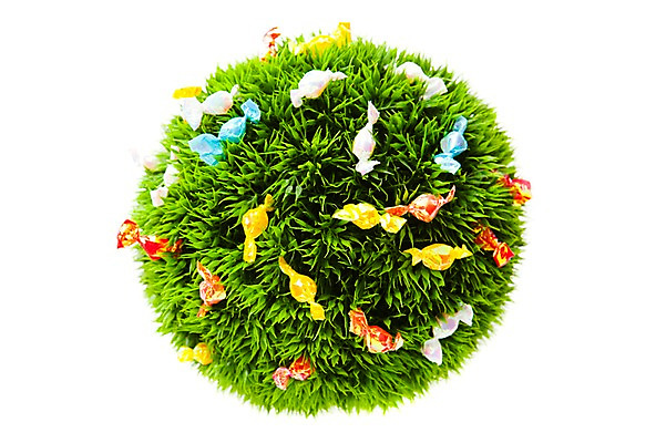 포토 JPG 스튜디오촬영 기념일 화이트데이 디저트 실내 사탕 선물 이벤트 사람없음 컬러풀 잔디공 국내포토 음식 컬러 공 데이이벤트 내부 파일형식