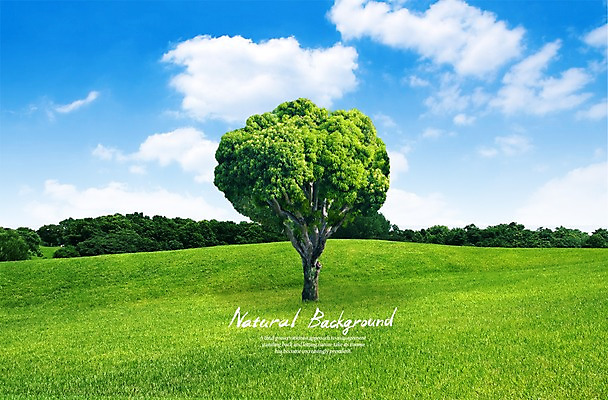 PSD 나무 구름 편집 편집이미지 계절 백그라운드 자연 하늘 한그루 풍경 잔디 초원 사람없음 봄 이미지편집 자연요소 식물 1 생태계 파일형식