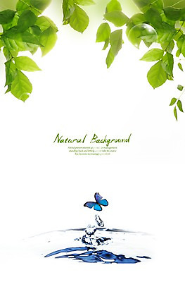 PSD 편집 편집이미지 계절 나비 곤충 백그라운드 잎 자연 나뭇잎 풍경 사람없음 물 봄 수면 이미지편집 자연요소 식물 동물 생태계 파일형식