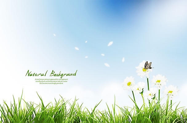 PSD 식물 구름 편집 편집이미지 계절 꽃잎 꽃 나비 곤충 백그라운드 자연 하늘 풍경 잔디 사람없음 봄 풀 이미지편집 자연요소 동물 생태계 파일형식