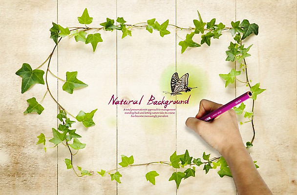 PSD 식물 편집 편집이미지 손 계절 나비 백그라운드 자연 나뭇잎 풍경 목재 신체부위 연필 봄 판넬 담쟁이덩굴 덩굴 아이비 이미지편집 나무 곤충 잎 재료 학용품 사람 필기구 생태계 파일형식