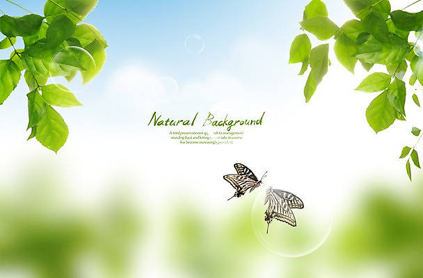 PSD 편집 편집이미지 계절 나비 백그라운드 자연 하늘 나뭇잎 풍경 사람없음 봄 물방울 공기방울 이미지편집 곤충 잎 생태계 파일형식