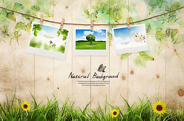 PSD 편집 편집이미지 계절 꽃 벽 백그라운드 잎 자연 해바라기 집게 풍경 잔디 사람없음 목재 봄 풀 빨랫줄 폴라로이드사진 나무벽 이미지편집 나무 식물 줄 재료 생태계 폴라로이드 파일형식