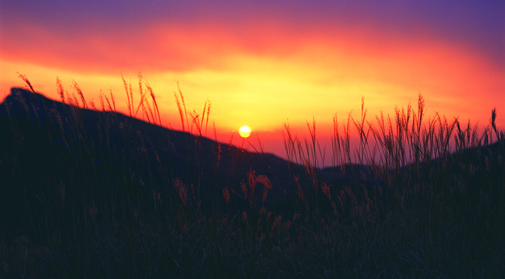 포토 JPG 식물 구름 컬러 자연 하늘 한국 풍경 사람없음 야외 일출 일몰 풀 억새 억새밭 국내포토 자연요소 아시아 노을 생태계 파일형식