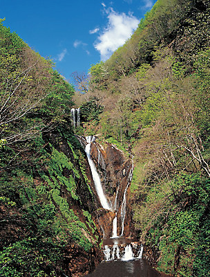 포토 JPG 나무 식물 구름 로우앵글 컬러 자연 하늘 한국 물줄기 풍경 사람없음 야외 폭포 흐름 떨어짐 숲속 울릉도 산기슭 봉래폭포 국내포토 자연요소 아시아 뷰포인트 섬 컨셉 산 물 숲 경상북도 생태계 파일형식