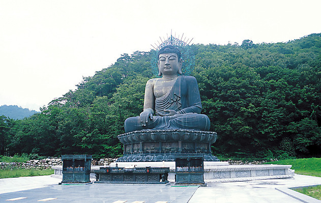 포토 JPG 나무 식물 컬러 자연 산 한국 풍경 사람없음 야외 사찰 숲 불상 강원도 청동 설악산 속초 신흥사 청동불상 국내포토 아시아 불교 종교건축 생태계 인제 파일형식