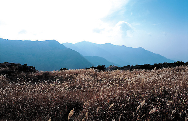 포토 JPG 구름 컬러 자연 하늘 산 한국 풍경 사람없음 야외 경상북도 경상도 청도 억새 대구 비슬산 억새밭 대구시 국내포토 자연요소 식물 아시아 어류 생태계 파일형식