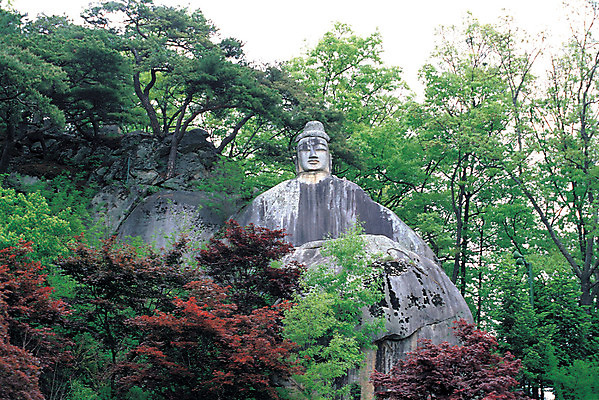 포토 JPG 나무 식물 계절 로우앵글 컬러 단풍 자연 한국 풍경 사람없음 야외 가을 경상도 불상 마애석불 석불 안동 국내포토 아시아 뷰포인트 잎 불교 경상북도 생태계 파일형식