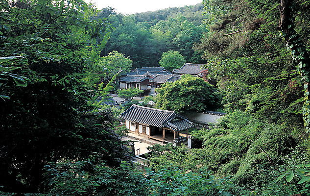 포토 JPG 나무 식물 건축물 컬러 단풍 자연 주택 한국 풍경 사람없음 야외 관광지 하이앵글 숲속 숲 경상도 서당 도산서원 서원 안동 국내포토 건축 아시아 뷰포인트 여행 잎 건물 경상북도 생태계 파일형식