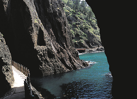 포토 JPG 나무 식물 바다 컬러 섬 자연 한국 풍경 해변 사람없음 야외 절벽 암석 돌_바위 바위 굴 동굴 경상북도 경상도 울릉도 화산섬 국내포토 아시아 어패류 생태계 파일형식