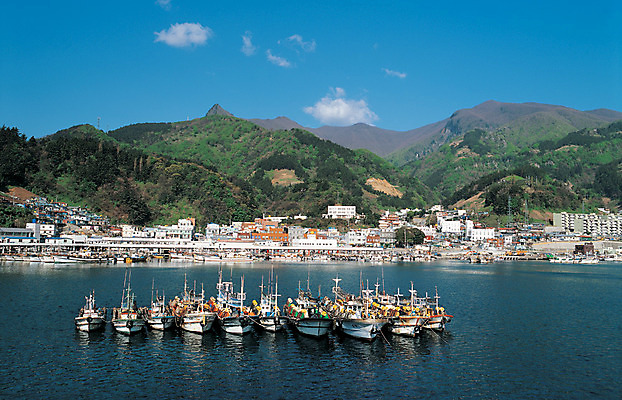 포토 JPG 나무 식물 구름 바다 컬러 섬 수상교통 자연 하늘 주택 한국 풍경 해변 사람없음 야외 건물 마을 항구 경상북도 경상도 울릉도 저동항 화산섬 선박 국내포토 자연요소 건축물 아시아 교통수단 교통시설 생태계 파일형식