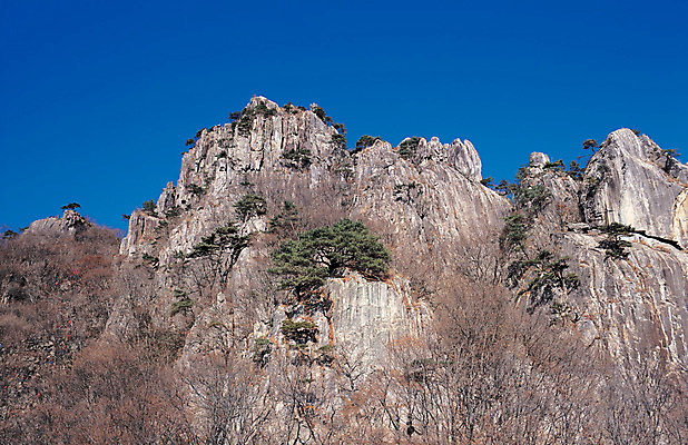 포토 JPG 나무 식물 로우앵글 컬러 자연 하늘 산 한국 풍경 사람없음 야외 관광지 절벽 돌_바위 바위 소나무 정상 돌산 전라북도 전라도 대둔산 국내포토 아시아 뷰포인트 여행 생태계 완주 파일형식