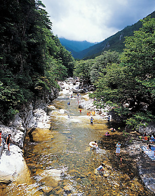 포토 JPG 나무 식물 컬러 자연 산 한국 풍경 여러명 야외 물 하이앵글 여행객 계곡 흐름 돌_바위 바위 숲속 강원도 동해 산기슭 두타산 무릉계곡 국내포토 자연요소 아시아 바다 뷰포인트 다수 컨셉 사람 숲 생태계 파일형식