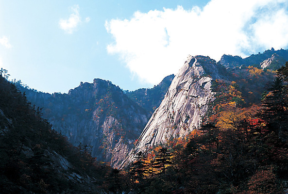 포토 JPG 나무 식물 구름 계절 컬러 단풍 자연 하늘 단풍나무 바위산 산 한국 풍경 사람없음 야외 절벽 가을 돌_바위 바위 강원도 금강산 풍악산 국내포토 자연요소 아시아 잎 돌산 전라북도 생태계 파일형식