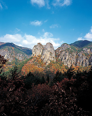 포토 JPG 나무 식물 구름 계절 컬러 단풍 자연 하늘 단풍나무 산 한국 풍경 사람없음 야외 절벽 가을 돌_바위 바위 경상북도 경상도 주왕산 청송 국내포토 자연요소 아시아 잎 생태계 파일형식