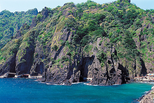 포토 JPG 나무 식물 파도 바다 컬러 섬 자연 한국 풍경 해변 사람없음 야외 절벽 암석 돌_바위 바위 굴 동굴 경상북도 경상도 울릉도 화산섬 국내포토 아시아 어패류 생태계 파일형식