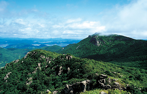 포토 JPG 나무 식물 구름 컬러 자연 하늘 산 한국 풍경 사람없음 야외 하이앵글 돌_바위 바위 정상 숲 경상북도 경상도 청도 대견봉 대구 비슬산 대구시 국내포토 자연요소 아시아 뷰포인트 어류 생태계 파일형식