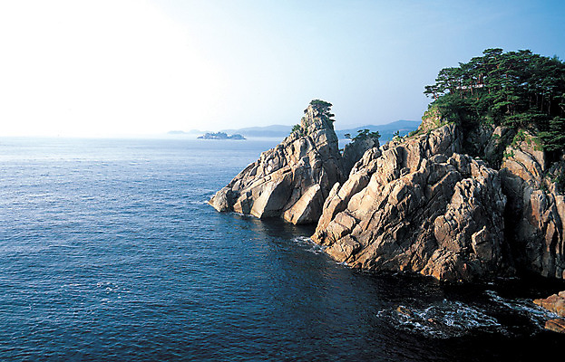 포토 JPG 나무 식물 바다 컬러 자연 산 한국 풍경 해변 사람없음 야외 관광지 하이앵글 절벽 문화재 암석 돌_바위 바위 소나무 강원도 양양군 하조대 국내포토 아시아 뷰포인트 여행 생태계 양양 파일형식