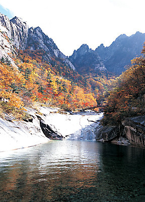 포토 JPG 나무 식물 계절 컬러 단풍 자연 단풍나무 바위산 산 한국 풍경 사람없음 야외 계곡 절벽 흐름 가을 돌_바위 바위 강원도 금강산 풍악산 국내포토 아시아 컨셉 잎 돌산 전라북도 생태계 파일형식