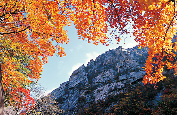 포토 JPG 나무 식물 구름 계절 로우앵글 컬러 단풍 자연 하늘 단풍나무 바위산 산 한국 풍경 사람없음 야외 절벽 가을 돌_바위 바위 강원도 금강산 풍악산 국내포토 자연요소 아시아 뷰포인트 잎 돌산 전라북도 생태계 파일형식