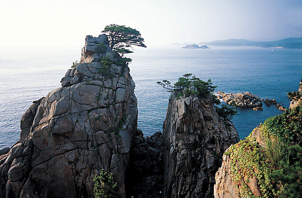 포토 JPG 나무 식물 바다 컬러 자연 산 한국 풍경 해변 사람없음 야외 관광지 하이앵글 절벽 문화재 암석 돌_바위 바위 소나무 강원도 양양군 하조대 국내포토 아시아 뷰포인트 여행 생태계 양양 파일형식