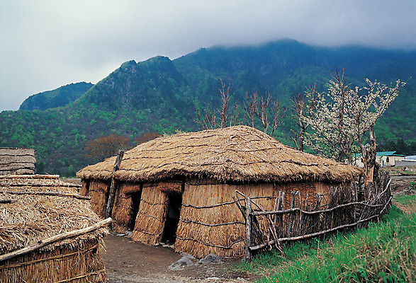 포토 JPG 구름 한국문화 건축물 전통문화 컬러 자연 하늘 산 주택 한국 풍경 사람없음 야외 건물 문화재 숲속 경상북도 경상도 울릉도 나리분지 분지 투막집 국내포토 자연요소 동양문화 전통 건축 아시아 문화 섬 숲 생태계 파일형식