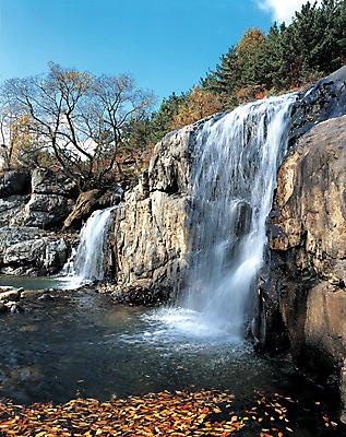 포토 JPG 나무 식물 계절 컬러 단풍 낙엽 자연 하늘 단풍나무 산 한국 풍경 사람없음 야외 물 절벽 폭포 흐름 가을 떨어짐 숲속 경상북도 경상도 청도 산기슭 대구 비슬산 상성폭포 대구시 국내포토 자연요소 아시아 컨셉 잎 어류 숲 생태계 파일형식