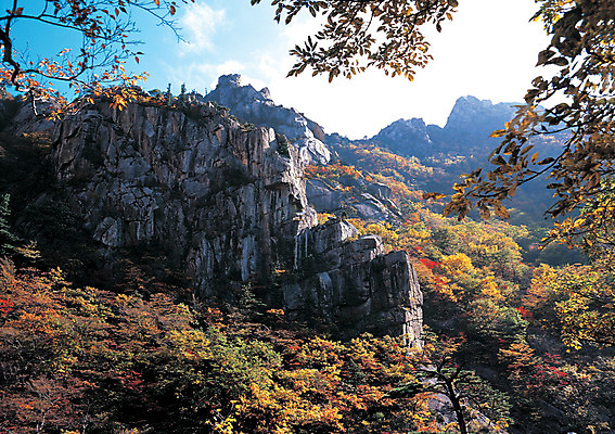 포토 JPG 나무 식물 구름 계절 로우앵글 컬러 단풍 자연 하늘 단풍나무 바위산 산 한국 풍경 사람없음 야외 절벽 가을 돌_바위 바위 강원도 금강산 풍악산 국내포토 자연요소 아시아 뷰포인트 잎 돌산 전라북도 생태계 파일형식