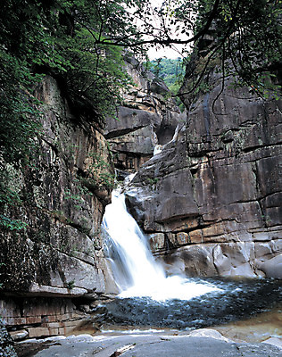 포토 JPG 나무 식물 로우앵글 컬러 자연 산 한국 풍경 사람없음 야외 물 계곡 폭포 흐름 돌_바위 바위 떨어짐 숲속 강원도 동해 산기슭 두타산 무릉계곡 국내포토 자연요소 아시아 바다 뷰포인트 컨셉 숲 생태계 파일형식