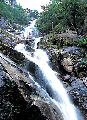 포토 JPG 나무 식물 로우앵글 컬러 자연 산 한국 풍경 사람없음 야외 물 계곡 폭포 흐름 돌_바위 바위 떨어짐 숲속 강원도 동해 산기슭 관음폭포 두타산 무릉계곡 국내포토 자연요소 아시아 바다 뷰포인트 컨셉 숲 생태계 파일형식