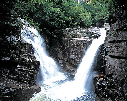 포토 JPG 나무 식물 컬러 자연 산 한국 풍경 사람없음 야외 물 계곡 폭포 흐름 돌_바위 바위 떨어짐 숲속 강원도 동해 산기슭 두타산 무릉계곡 쌍폭포 국내포토 자연요소 아시아 바다 컨셉 숲 생태계 파일형식