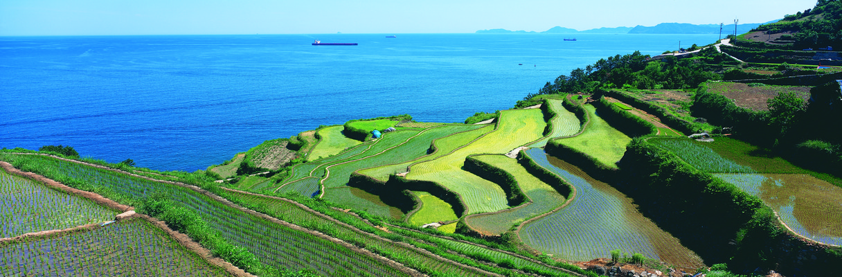 포토 JPG 바다 컬러 자연 한국 논 파노라마 풍경 사람없음 야외 농경지 계단 마을 시골 계단식 남해 국내포토 아시아 농업 촬영기법 농장 생태계 파일형식