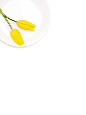 포토 JPG 스튜디오촬영 식물 접시 계절 꽃 자연 실내 사람없음 노란색 봄 튤립 두송이 국내포토 식기 컬러 2 내부 생태계 파일형식