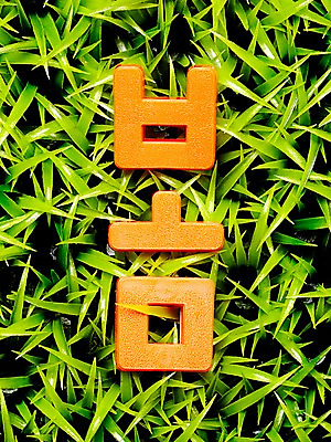 포토 JPG 스튜디오촬영 문자 계절 자연 실내 잔디 사람없음 단어 주황색 봄 국내포토 식물 컬러 내부 생태계 파일형식