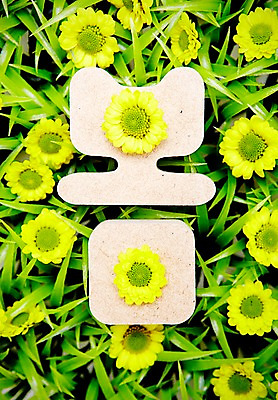 포토 JPG 스튜디오촬영 식물 문자 계절 꽃 자연 실내 잔디 사람없음 단어 노란색 봄 소국 국내포토 컬러 내부 생태계 파일형식