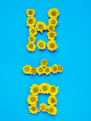 포토 JPG 스튜디오촬영 식물 문자 계절 꽃잎 꽃 자연 실내 사람없음 단어 노란색 봄 소국 국내포토 컬러 내부 생태계 파일형식