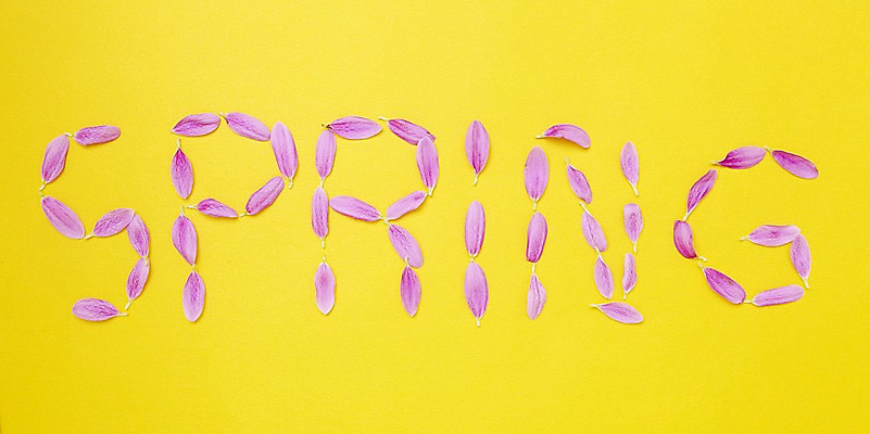 포토 JPG 스튜디오촬영 식물 알파벳 계절 꽃잎 꽃 자연 실내 사람없음 봄 수국 국내포토 영어 내부 생태계 파일형식