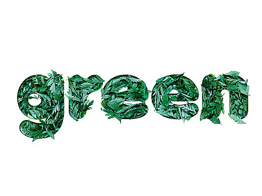 포토 JPG 스튜디오촬영 식물 알파벳 계절 잎 자연 나뭇잎 실내 사람없음 초록색 봄 국내포토 영어 컬러 내부 생태계 파일형식