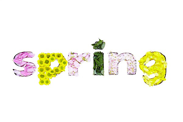 포토 JPG 스튜디오촬영 식물 알파벳 계절 꽃잎 꽃 자연 실내 사람없음 봄 국내포토 영어 내부 생태계 파일형식