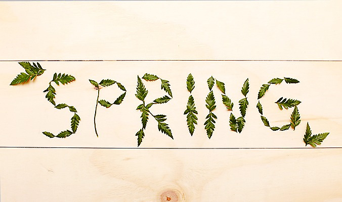 포토 JPG 스튜디오촬영 알파벳 계절 자연 나뭇잎 실내 사람없음 봄 나무판자 국내포토 영어 잎 내부 목재 생태계 파일형식