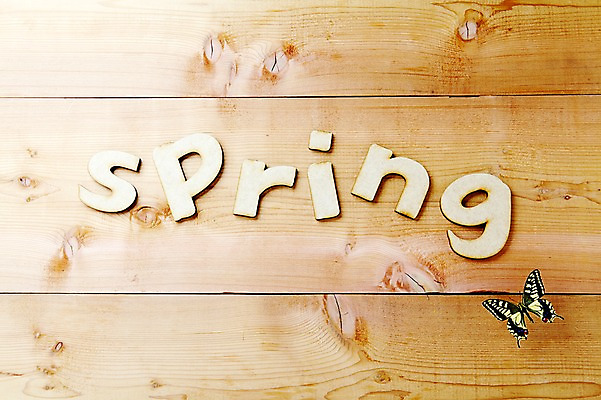 포토 JPG 스튜디오촬영 동물 한마리 알파벳 계절 나비 곤충 자연 실내 사람없음 봄 나무판자 산호랑나비 국내포토 1 영어 내부 목재 생태계 파일형식