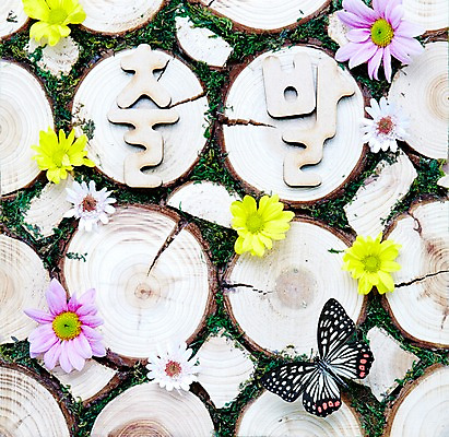 포토 JPG 스튜디오촬영 문자 계절 꽃 나비 곤충 자연 실내 사람없음 단어 봄 출발 소국 나무판자 왕오색나비 국내포토 식물 동물 컨셉 내부 목재 생태계 파일형식