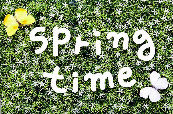 포토 JPG 스튜디오촬영 식물 알파벳 계절 꽃 나비 곤충 두마리 자연 실내 잔디 사람없음 봄 부니아에큰흰나비 에니페노랑나비 국내포토 동물 영어 2 내부 생태계 파일형식