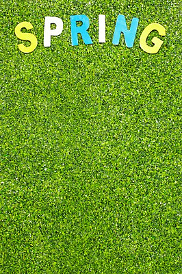 포토 JPG 스튜디오촬영 알파벳 계절 자연 실내 잔디 사람없음 봄 국내포토 식물 영어 내부 생태계 파일형식