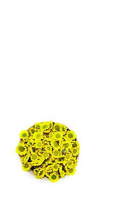 포토 JPG 스튜디오촬영 식물 그릇 계절 꽃 자연 실내 사람없음 노란색 바구니 봄 소국 국내포토 식기 컬러 내부 생태계 파일형식