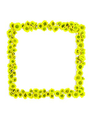 포토 JPG 스튜디오촬영 식물 계절 꽃 자연 프레임 실내 사각틀 사람없음 노란색 봄 소국 국내포토 컬러 틀 내부 사각형 생태계 파일형식