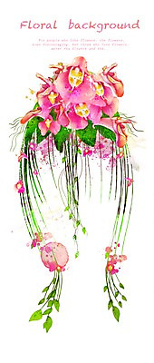 PSD 식물 꽃 분홍색 백그라운드 꽃백그라운드 일러스트 여름꽃 사람없음 여름 식물백그라운드 꽃말 8월 물봉선 국내일러스트 계절 컬러 날짜 파일형식 여름_계절