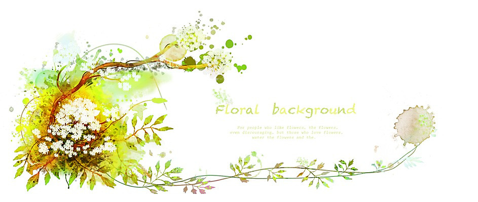 PSD 식물 꽃 백그라운드 꽃백그라운드 일러스트 가을꽃 사람없음 가을 흰색 9월 식물백그라운드 꽃말 가을배경 국내일러스트 계절 컬러 날짜 파일형식 가을_계절