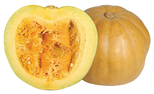 포토 JPG 스튜디오촬영 음식 채소 식재료 호박 단면 실내 사람없음 농작물 노란색 두개 슬라이스 늙은호박 국내포토 컬러 2 농업 내부 파일형식